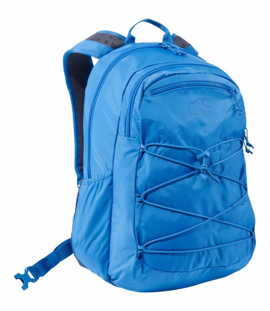 Laptop Professional Backpack